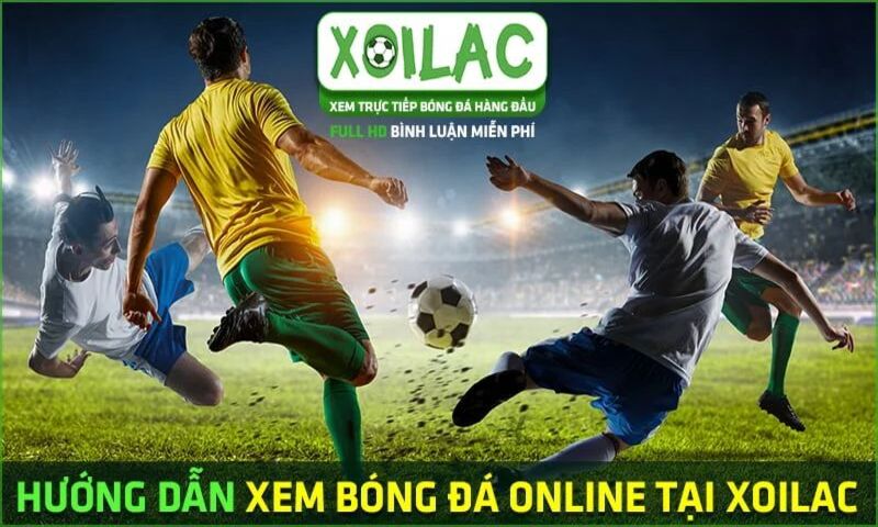 Bảng tin tức bóng đá mỗi ngày